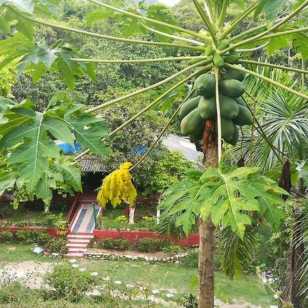 Entre Bosques Tayrona Villa Los Naranjos Ruang foto