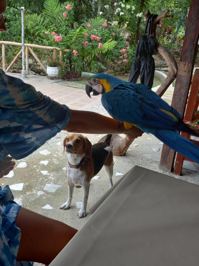 Entre Bosques Tayrona Villa Los Naranjos Bagian luar foto