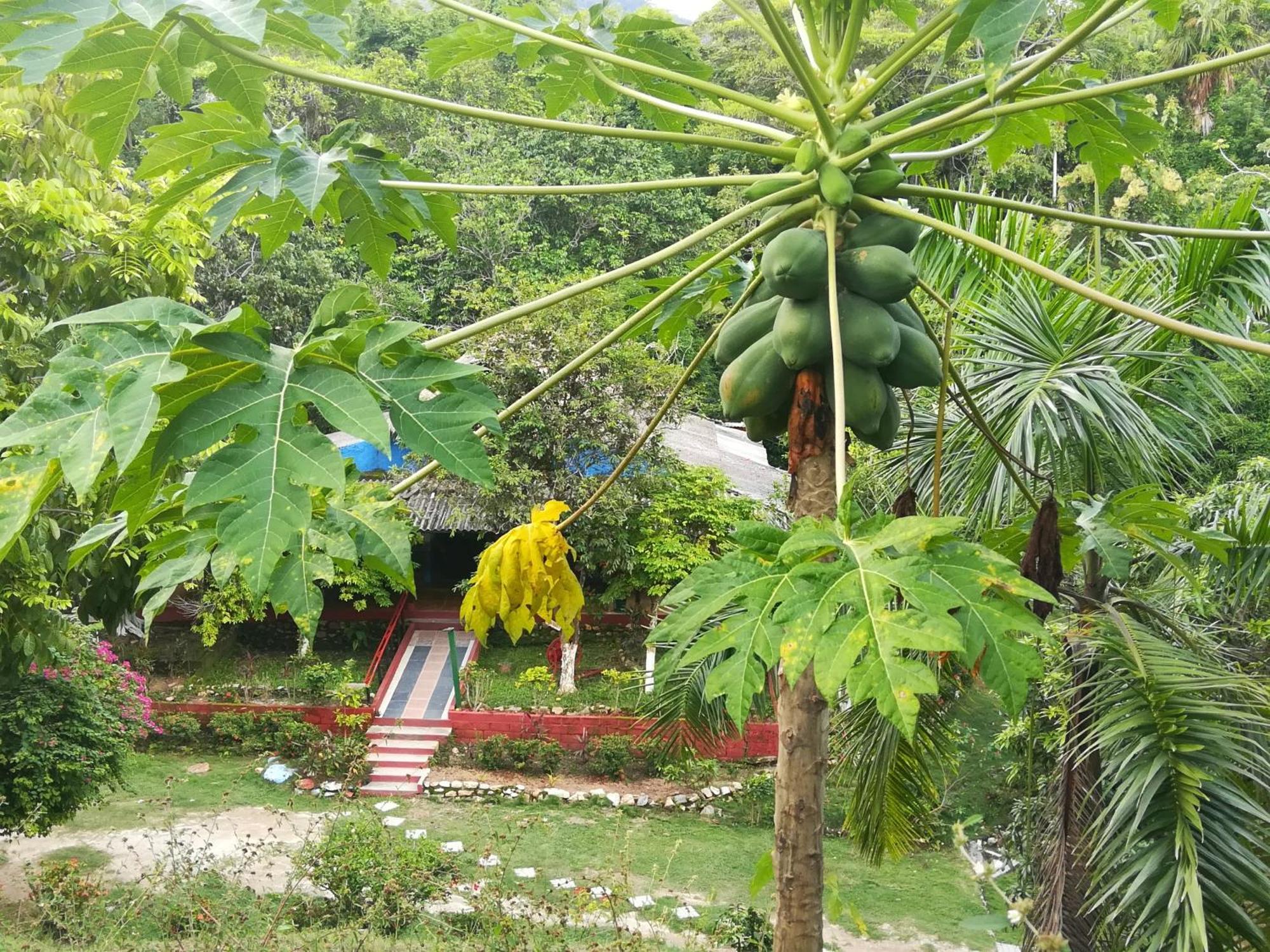 Entre Bosques Tayrona Villa Los Naranjos Ruang foto