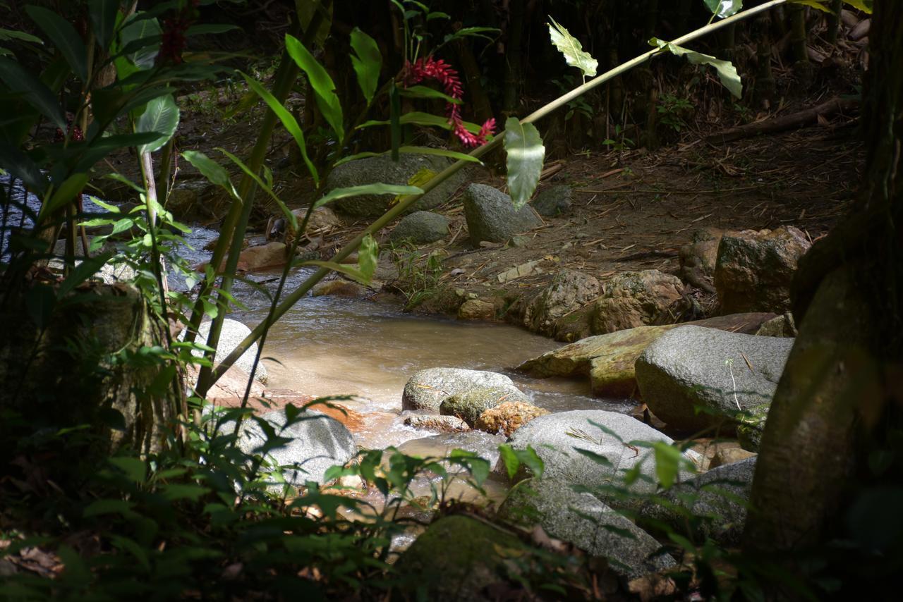 Entre Bosques Tayrona Villa Los Naranjos Bagian luar foto