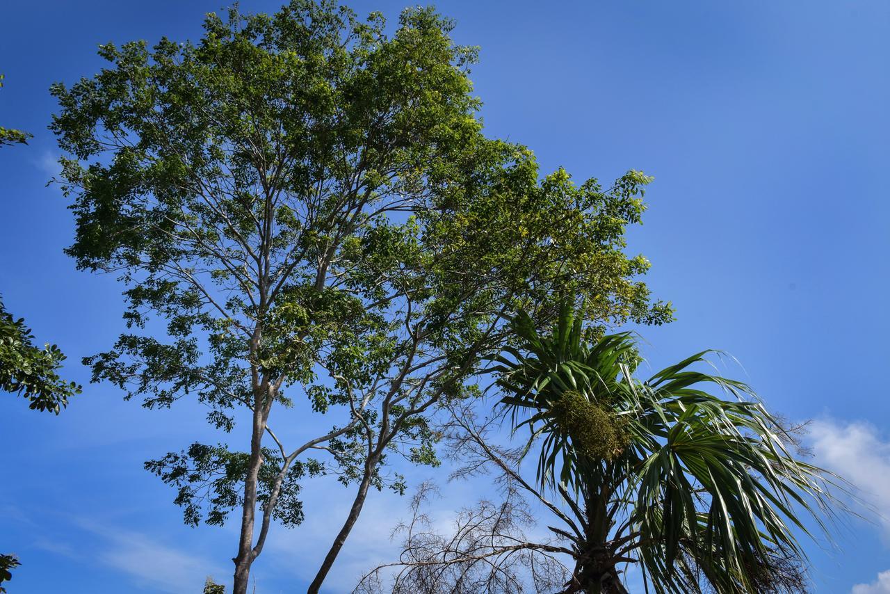 Entre Bosques Tayrona Villa Los Naranjos Bagian luar foto