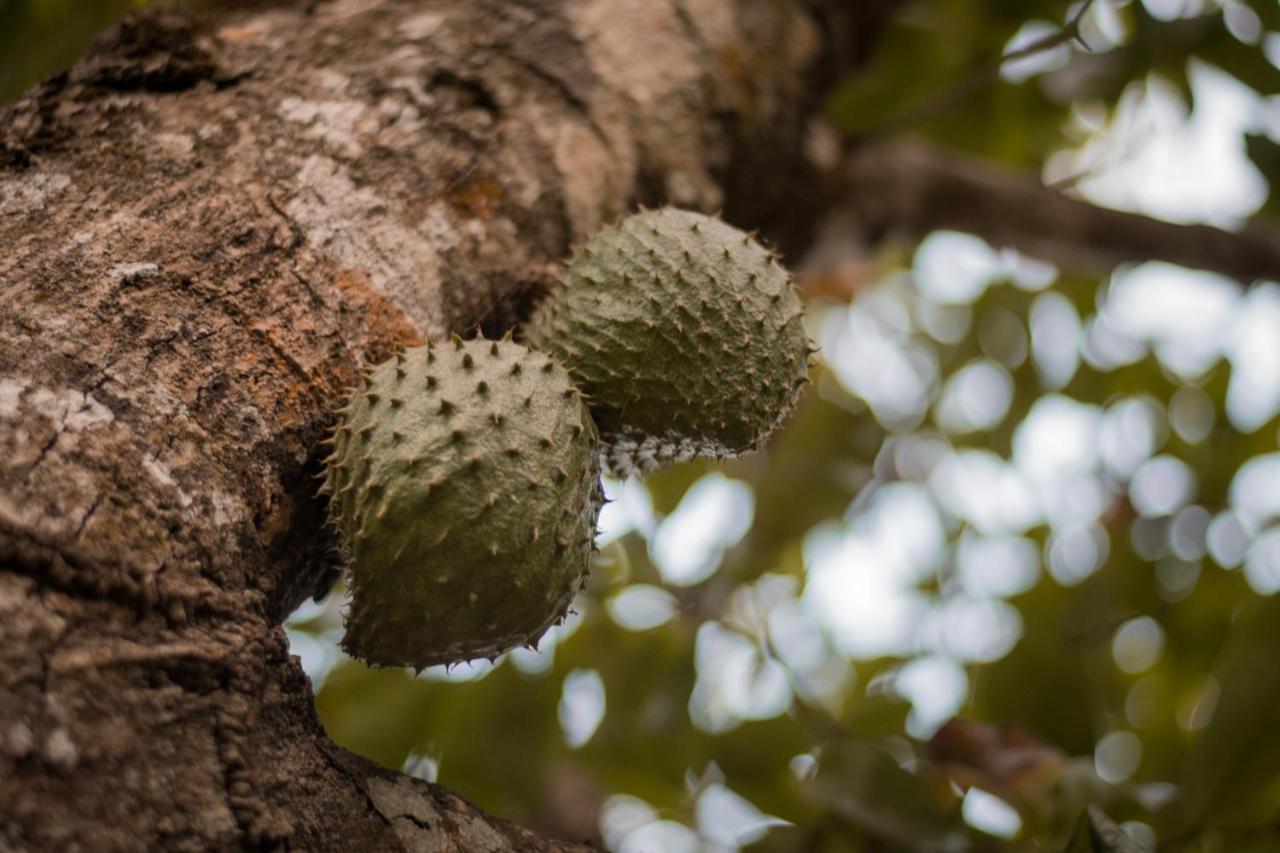 Entre Bosques Tayrona Villa Los Naranjos Bagian luar foto